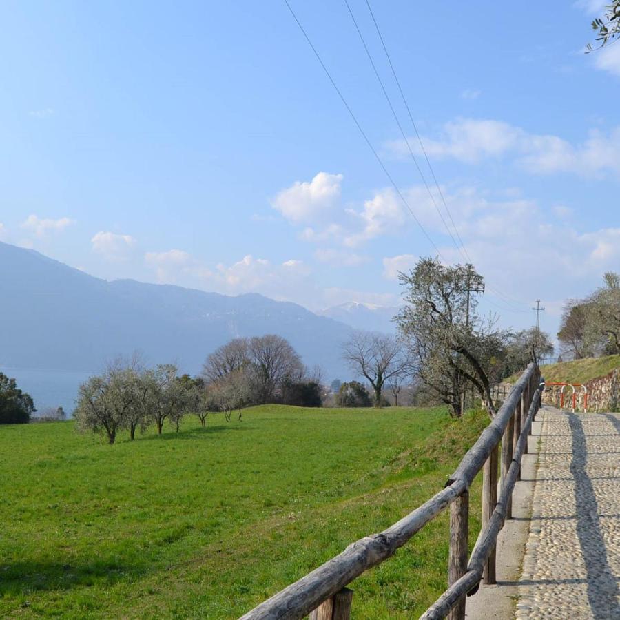 La Cascina Della Vigna Del Viandante Villa Abbadia Lariana Exteriör bild