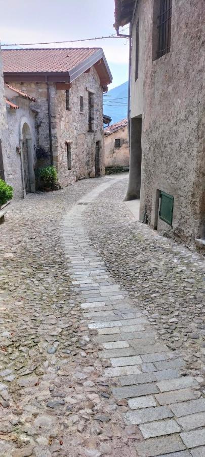 La Cascina Della Vigna Del Viandante Villa Abbadia Lariana Exteriör bild